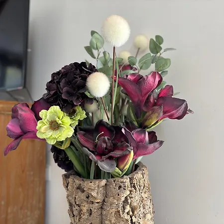 Jolie Colombe, Maison 3 Ch 2 Sdb Beau Jardin Terrasse Amenagee A 15 Mn A Pied De La Du Centre En Bessin Proche Golf Et D'omaha Et Bayeux *