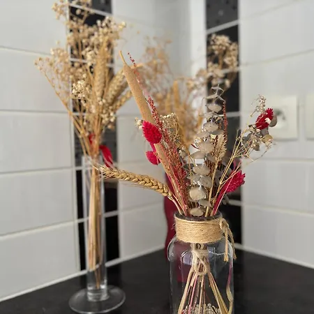 بيت للعطل Jolie Colombe, Maison 3 Ch 2 Sdb Beau Jardin Terrasse Amenagee A 15 Mn A Pied De La Du Centre En Bessin Proche Golf Et D'omaha Et Bayeux