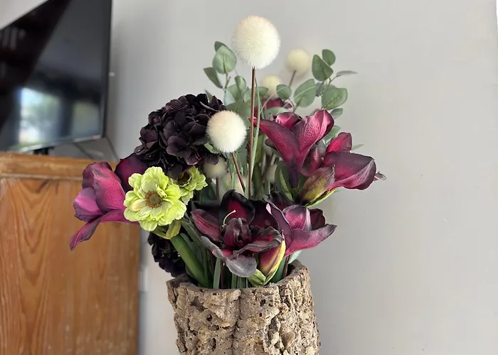 Jolie Colombe, Maison 3 Ch 2 Sdb Beau Jardin Terrasse Amenagee A 15 Mn A Pied De La Du Centre En Bessin Proche Golf Et D'omaha Et Bayeux *